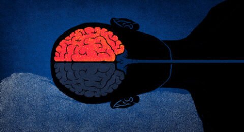 comment utiliser les softskills